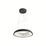 SmartHome Paul Neuhaus - PH 8719514341074 Hue LED White Ambiance Závěsné svítidlo Philips Amaze BT 8719514341074 25W 2900lm 2200-6500K IP20 24V, černé s dálkovým ovladačem a Bluetooth - PHILIPS (929003054901) - foto 3