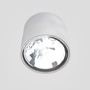 Downlight - RED R10162 Stropní svítidlo EX válcová přisazená stropní QRB111 stříbrná 23 - RED - DESIGN RENDL - foto 3
