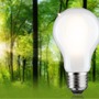 E27 - P 29258 Eco-Line Filament 230V LED žárovka E27 8,2W 3000K stmívatelné mat - PAULMANN - foto 3