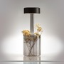 Stolní lampy dekorační - M MOD229TL-L3B3K3 Stolní lampa AI Collaboration 2200/4000K 3W nastavitelná bílá černé sklo bateriová stmívatelná - MAYTONI - foto 3