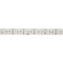 Hlavní osvětlení - LA 1004721 GRAZIA PRO MAX FLEXSTRIP 24 V 20 mm 5 m 13000 lm 4000 K - BIG WHITE (SLV) - foto 3