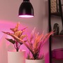 Subtilní - P 5116 Neordic set závěsné svítidlo Hilla + LED reflektor E27 černá stmívatelné kov / 230V 6,5W 1300K - PAULMANN - foto 3
