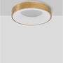 Kruhová - NV 9353832 Stropní svítidlo RANDO THIN kartáčovaný zlatý hliník a akryl LED 30W 230V 3000K IP20 stmívatelné - NOVA LUCE - foto 3