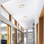 Kruhová - RED R14305 LANA 40 přisazená  dekor buk/plast 230V LED 32W  3000K 4000K 6000K - RED - DESIGN RENDL - foto 3
