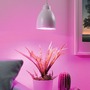 Subtilní - P 5117 Neordic set závěsné svítidlo Hilla + LED reflektor E27 bílá stmívatelné kov / 230V 6,5W 1300K - PAULMANN - foto 3