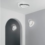 Dekorativní - FAN LED-AYRTON-R45-ORO Stropní LED svítidlo AYRTON zaoblené, zlatá, 42 W, 4500 lm, CCT, 35 x 7 x 45 cm - FANEUROPE - foto 3