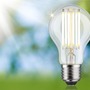 E27 - P 29219 Eco-Line Filament 230V LED žárovka E27 5W 3000K čirá - PAULMANN - foto 3