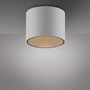 Downlight - PN 6761-16 LED stropní svítidlo PURE Point, bílá, vnitřní stmívatelné 2700K - PAUL NEUHAUS - foto 3