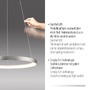 Kruhová - PN 2851-95 HOOP LED závěsné svítidlo hliník nastavitelná výška paměťová funkce SimplyDim 3000K - PAUL NEUHAUS - foto 3