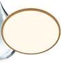 Kruhová - BRI 3871014 Acorus W stropní svítidlo pr.33 cm - 18W, 1850lm, LED, IP44, teplá bílá, bílé/dřevo - BRILONER - foto 3