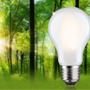 E27 - P 29256 Eco-Line Filament 230V LED žárovka E27 4,3W 3000K stmívatelné mat - PAULMANN - foto 3