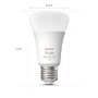SmartHome Paul Neuhaus - PH 8719514291317 Hue Bluetooth LED White and Color Ambiance set 2ks žárovek Philips 8719514291317 E27 A60 9W 1100lm 2000-6500K RGB stmívatelné - PHILIPS (929002468802) - foto 3