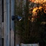 Reflektory - FARO 70025 ALFA projekční lampa, tmavě šedá - FARO - foto 3