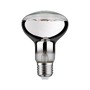 E27 - P 28733 LED Grow Green lampa pro rostliny R80 E27 6,5 W - PAULMANN - foto 3
