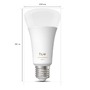 E27 - PH 8720169364288 Hue WA 1600 smart žárovka A67 E27, 15W, 1600lm, 1000-20000K - PHILIPS - foto 3