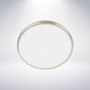 Kruhová - BRILO 3902012 Competo stropní svítidlo pr.24 cm - 12W, 1300lm, LED, neutrální bílá, matný nikl - BRILO - foto 3
