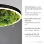 Kruhová - LD 15391-66 GREEN RITUS LED stropní svítidlo 40x40 islandský mech Switchmo 3-krokové stmívání 3000K akustické - LEUCHTEN DIREKT / JUST LIGHT - foto 3