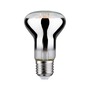 E27 - P 28732 LED Grow Green lampa pro rostliny R63 E27 6,5 W - PAULMANN - foto 3