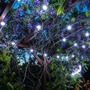 Venkovní řetězy - DLED PGX510 DECOLED Party osvětlení 5 m, 10 ledově bílých LED, IP67 - foto 3