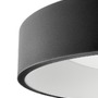 Kruhová - IMPR 348185 Deko-Light stropní přisazené svítidlo Sculptoris 800 mm, 60,0 W, 3000/4000 K, černá 220-240V AC/50-60Hz 60,00 W 3000/4000 K 4100 lm tmavě černá RAL 9005 - foto 3