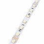 5050 - LED pás RGB+CCT 5050/60 SMD/m - foto 3