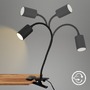 Stolní lampy s klipem - BRI 2176015 Fleks lampička na stůl, nastavitelná, s klipsem, černá - BRILONER - foto 3