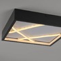 Hranatá - LD 14092-18 LED stropní svítidlo MIKADO, černá, hranaté, stmívatelné, paměťová funkce, SimplyDim, 3000K - JUST LIGHT - foto 3