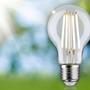 E27 - P 29120 Eco-Line Filament 230V LED žárovka E27 1ks-sada 2,5W 3000K čirá - PAULMANN - foto 3