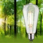 E27 - P 29249 Eco-Line Filament 230V LED žárovka ST64 E27 4,3W 3000K stmívatelné čirá - PAULMANN - foto 3