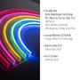 Dekorativní - LD 85024-70 NEON-RAINB LED nástěnné svítidlo motiv duhy vícebarevné USB šňůrový vypínač dekorativní - LEUCHTEN DIREKT / JUST LIGHT - foto 3