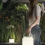 Na stůl - FAN LED-ROBIN-BCO Solární dobíjecí LED lampa Robin (bílá), 1,2 W, 3000 K, stmívatelná, IP54 - FANEUROPE - foto 3