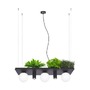 Dekorativní - ZUMA 003749-025970 5555 PLANT SHELF závěsné svítidlo černá - ZUMALINE - foto 3
