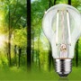 E27 - P 29250 Eco-Line Filament 230V LED žárovka E27 2,5W 3000K stmívatelné čirá - PAULMANN - foto 3