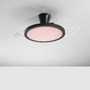 Ventilátory - FAN LED-CONDOR-NER Stropní svítidlo Condor černý LED ventilátor 40 W, 4050 lm, CCT stmívatelné s RGB, digitální ovládání s RF dálkovým ovladačem, 2 - FANEUROPE - foto 3