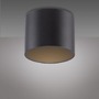 Downlight - PN 6761-18 LED stropní svítidlo PURE Point, černá, vnitřní, stmívatelné 2700K - PAUL NEUHAUS - foto 3