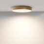 Kruhová - M C032CL-45W3K-RD-MG Stropní svítidlo Zon 45W 120d C032CL-45W3K-RD-MG - MAYTONI - foto 3