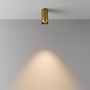Bodová - M C056CL-L12W3K-W-BS Stropní svítidlo FOCUS LED 12W 50d C056CL-L12W3K-W-BS - MAYTONI - foto 3