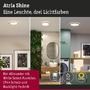 Kruhová - P 71277 LED Panel Atria Shine IP44 kruhové 298mm 14,8W 3000 - 6500K design dřevo - PAULMANN - foto 3