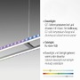 Podélná - LD 14638-55 FELIX60 LED závěsné svítidlo, stříbrná barva, stmívatelné, Rainbow RGB, paměťová funkce RGB+2700-5000K - LEUCHTEN DIREKT / JUST LIGHT - foto 3