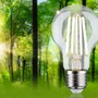 E27 - P 29229 Eco-Line Filament 230V LED žárovka E27 4,5W 3000K stmívatelné čirá - PAULMANN - foto 3