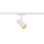 Svítidla - LA 1007353 NOBLO® SPOT 1~ Spot, kulatá, 2000-3000K, 8.4 W, stmívání do teplé, fáze, 36°, bílá - BIG WHITE (SLV) - foto 3
