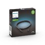 SmartHome Paul Neuhaus - PH 17368/30/PN Hue Prodlužovací kabel 2,5m IP67 nízkonapěťový - PHILIPS HUE (915006001601) - foto 3