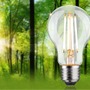 E27 - P 29253 Eco-Line Filament 230V LED žárovka E27 8,2W 3000K stmívatelné čirá - PAULMANN - foto 3