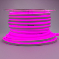 LED flex neon - LED Flex-Neon 220V - růžová