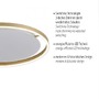 Kruhová - LD 15392-60 RITUS LED stropní svítidlo, matná mosaz, kruhové pr.60cm, stmívatelné, Switchmo, teplá bílá krokově stmívatelné 3000K - LEUCHTEN DIREKT / JUST LIGHT - foto 3