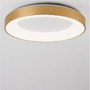 Kruhová - NV 9353854 Stropní svítidlo RANDO THIN kartáčovaný zlatý hliník a akryl LED 50W 230V 3000K IP20 stmívatelné - NOVA LUCE - foto 3