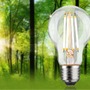 E27 - P 29252 Eco-Line Filament 230V LED žárovka E27 5,7W 3000K stmívatelné čirá - PAULMANN - foto 3