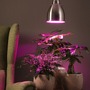 Subtilní - P 5118 Neordic set závěsné svítidlo Hilla + LED reflektor E27 kov kartáčovaný stmívatelné kov / 230V 6,5W 1300K - PAULMANN - foto 3
