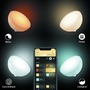 SmartHome Paul Neuhaus - PH 76020/31/P7 Hue Bluetooth LED White and Color Ambiance Přenosná lampička Philips Go 76020/31/P7 bílá 2000K-6500K RGB - PHILIPS HUE (915005821901) - foto 31
