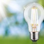 E27 - P 29251 Eco-Line Filament 230V LED žárovka E27 4,3W 3000K stmívatelné čirá - PAULMANN - foto 4